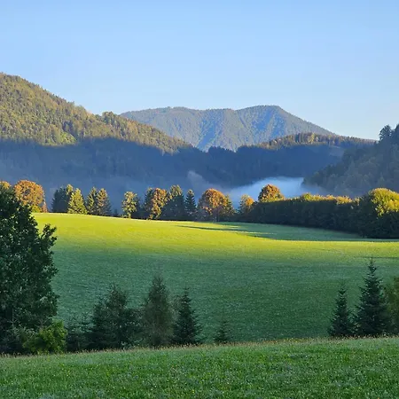 Weitblick, Ritzinger Gmbh Apartment