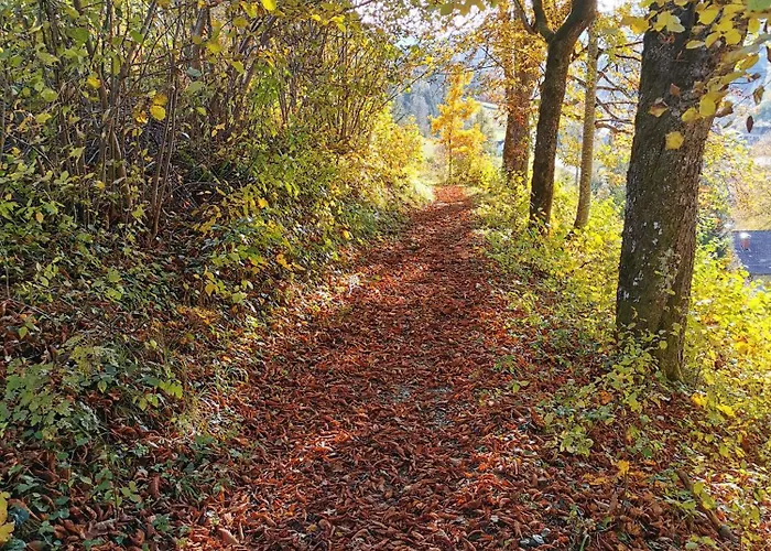 Weitblick, Ritzinger Gmbh